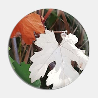 Colored leaves,  autumn, fall, leaves, leaf, Xmas, Christmas, spring, leaves decor, Pin