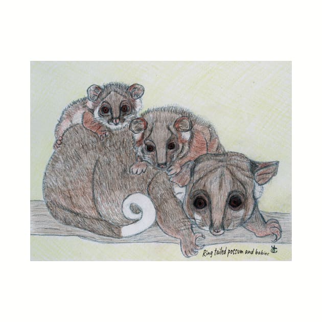 Ring-tailed possum and babies by Acetry99