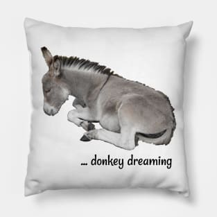 Little Donkey Dreaming Pillow