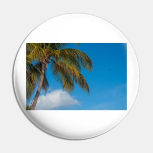 Palm and Sky Pin