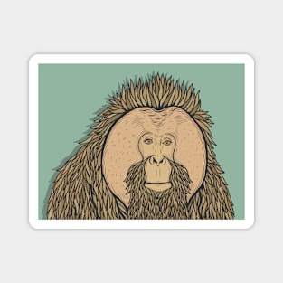 Friendly Orangutan Magnet