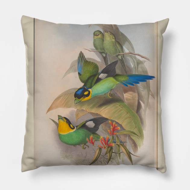 Two Flying Birds Pillow by pocketlama