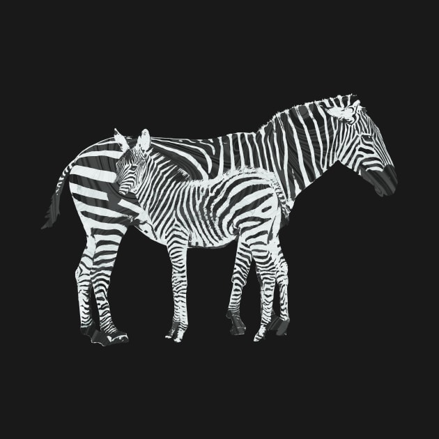 Zebras by MarbleCloud