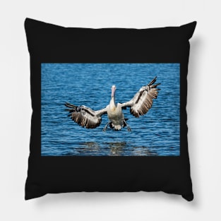 Splashdown Imminent: Pelican, Caloundra Pillow