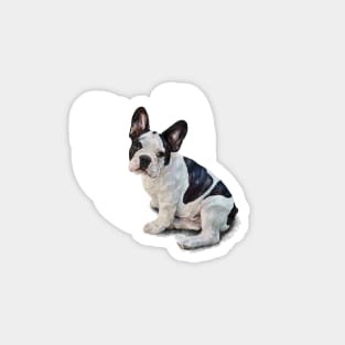 The French Bulldog Magnet