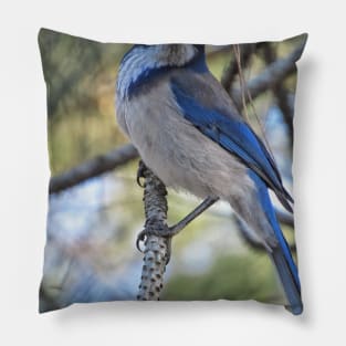 I am birdman Pillow