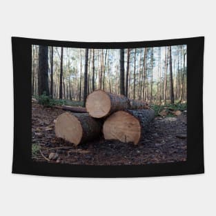 Big timber log during timber harvesting Tapestry