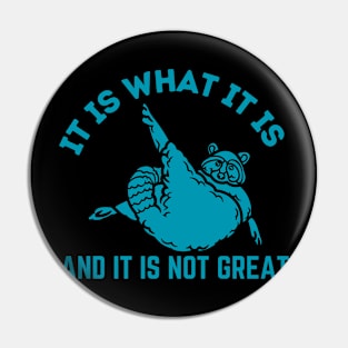 It Is What It Is And It Is Not Great Pin