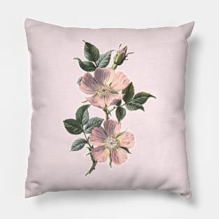 Dog Rose Illustration Pillow