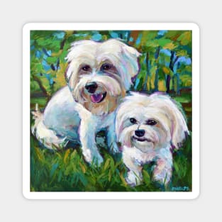 Cute Maltese Pups in the Park Magnet