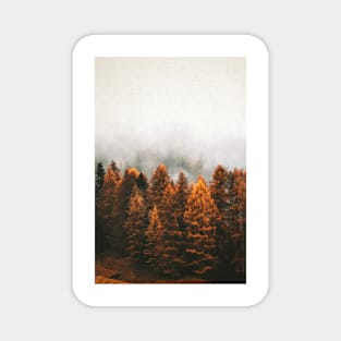 Autumn Forest Magnet