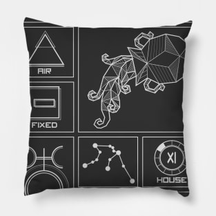 Aquarius Profile - Astrology Signs Pillow