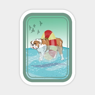 British bulldog swimming in the ocean Magnet