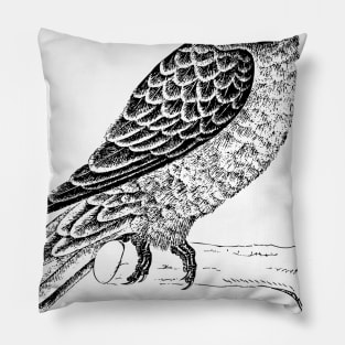 Bird Pillow