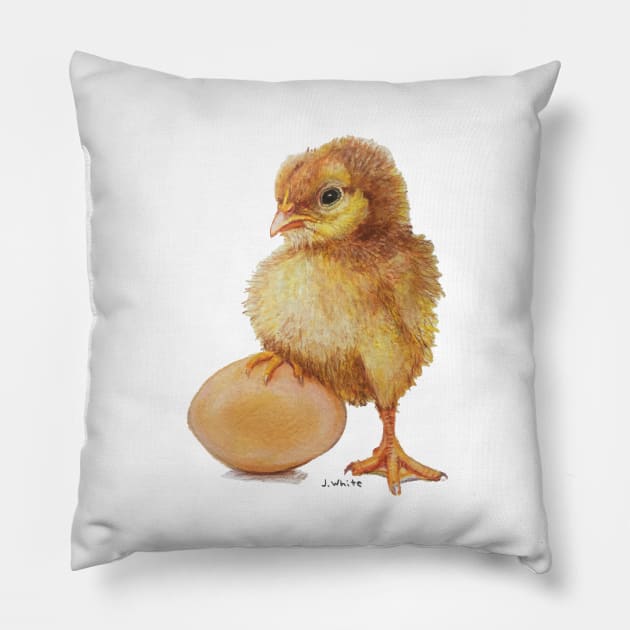 Baby Chick with Egg Pillow by jenesaiscluck