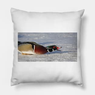 Protecting his territory - Wood Duck Pillow