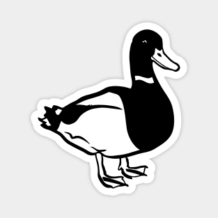 Duck Magnet