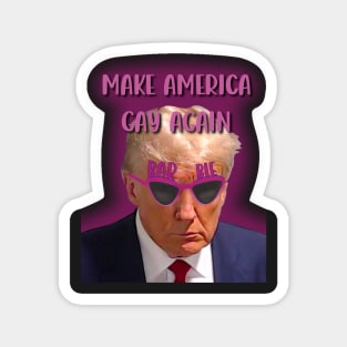 Make America Gay Again Magnet