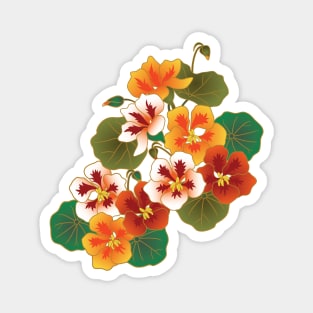 Nasturtium Garden-Navy Magnet