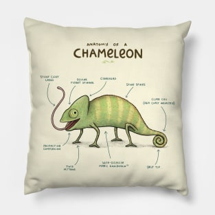 Anatomy of a Chameleon Pillow