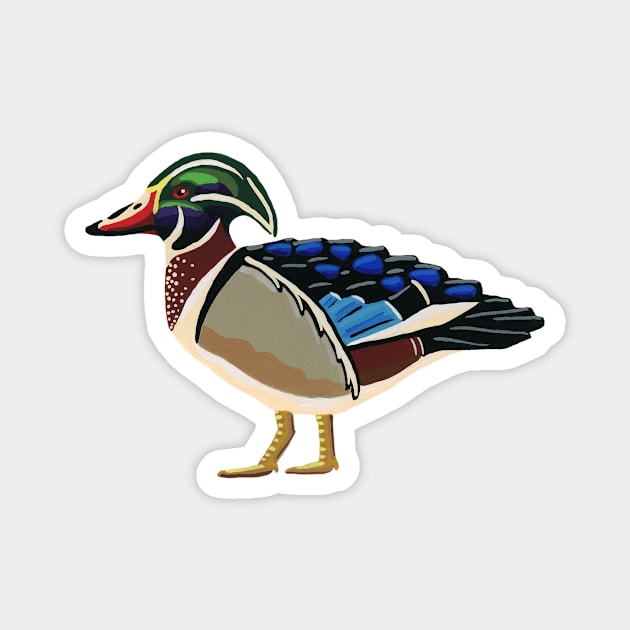 Wood Duck Magnet by paintedpansy