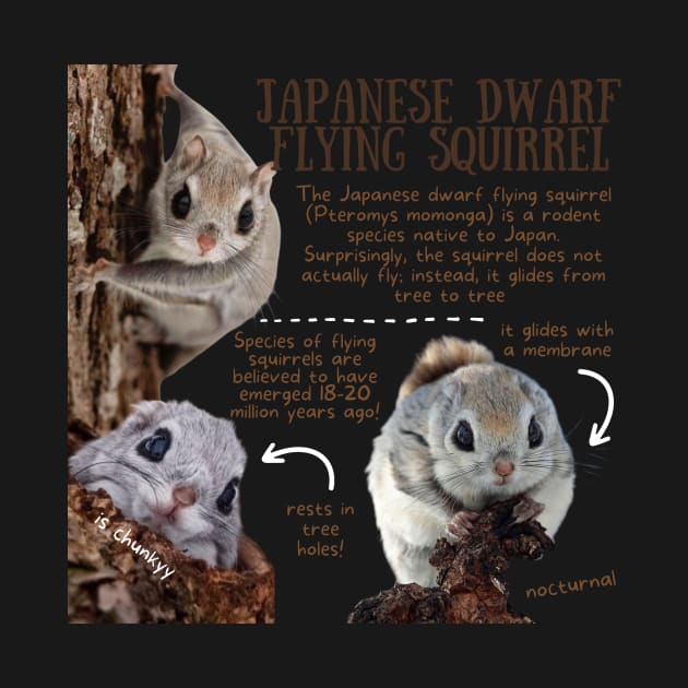 Animal Facts - Japanese Dwarf Flying Squirrel by Animal Facts and Trivias