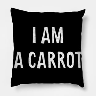 I am a carrot Pillow