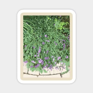 Painted Chives, green purple beige, digitally modified photography Magnet