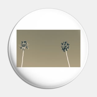 Split toned effect tall fan palm trees against blue sky Pin