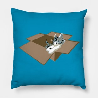 Kitty Box Party Pillow