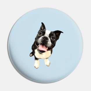 Boston Terrier Cute Dog Pin