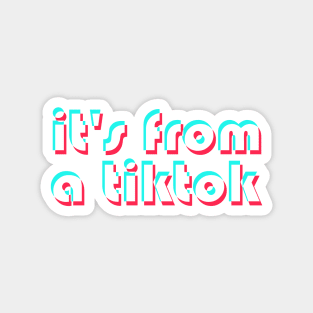 It's From a TikTok! Magnet