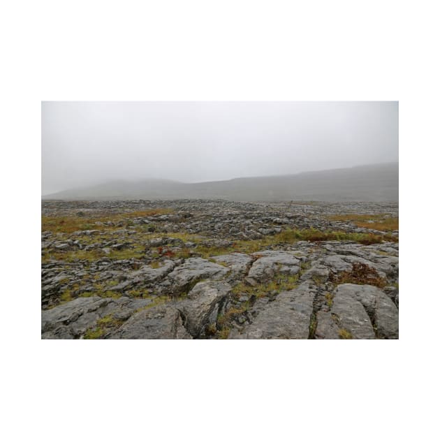 The Bare Burren by EileenMcVey