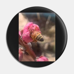 Honey Bee Butt In An Apricot Blossom Pin