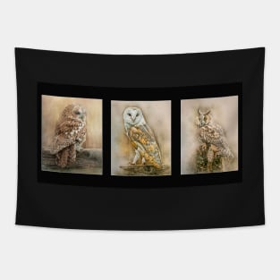 British Owls Tapestry