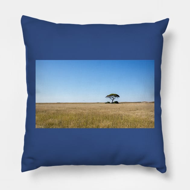 Tree on the plain. Pillow by sma1050