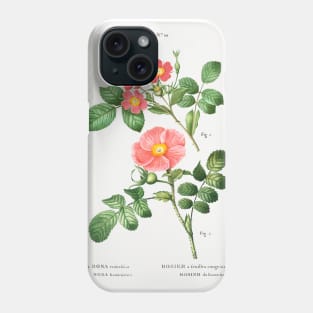 Vintage flower by Pierre-Joseph Redouté (1759–1840). Phone Case