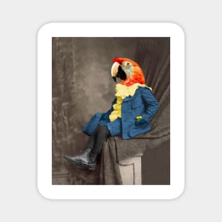 Macaw Boy Magnet