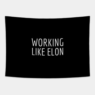 Working like Elon Tapestry