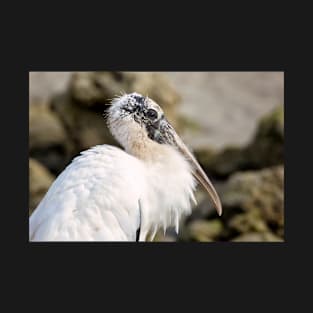 A Portrait of a Stork T-Shirt