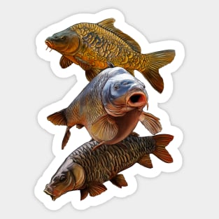 Carp Fishing Stickers for Sale