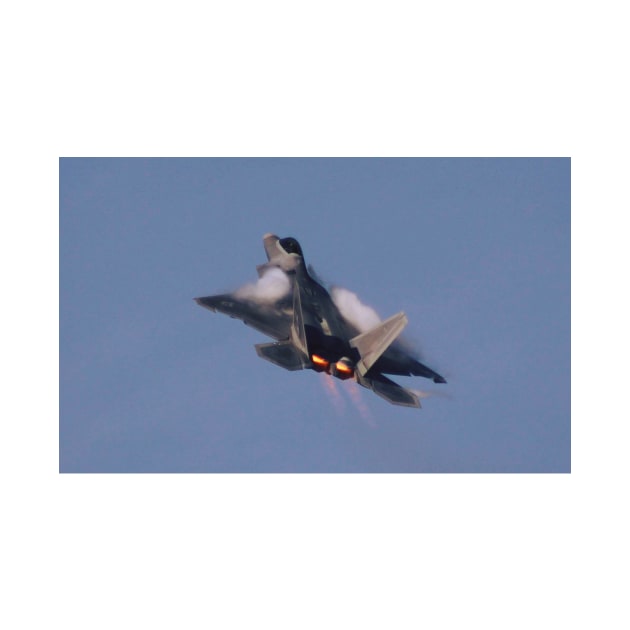 F-22 Raptor Afterburner Climb by acefox1