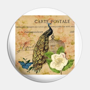 peacock white rose floral vintage botanical art Pin