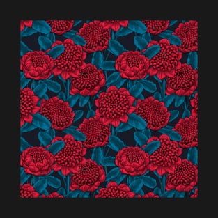 Red waratah flowers T-Shirt