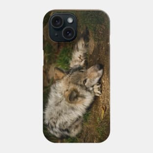 Timber Wolf Pup Phone Case