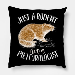 Just a rodent, not a meteorologist funny groundhog day gift Pillow