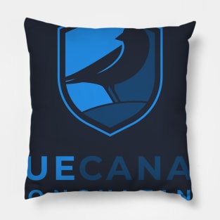 Blue Canary Consulting Pillow