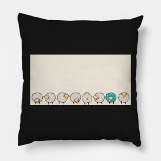 The blue sheep of the family Pillow