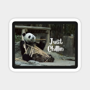 Just Chillin' Panda Magnet