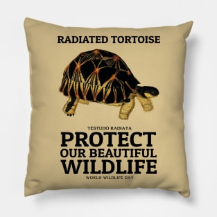 Radiated tortoise Pillow